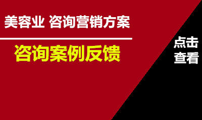 黎总咨询反馈