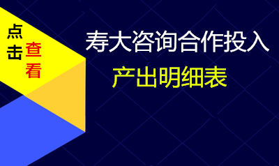 寿大咨询项目合作费用清单